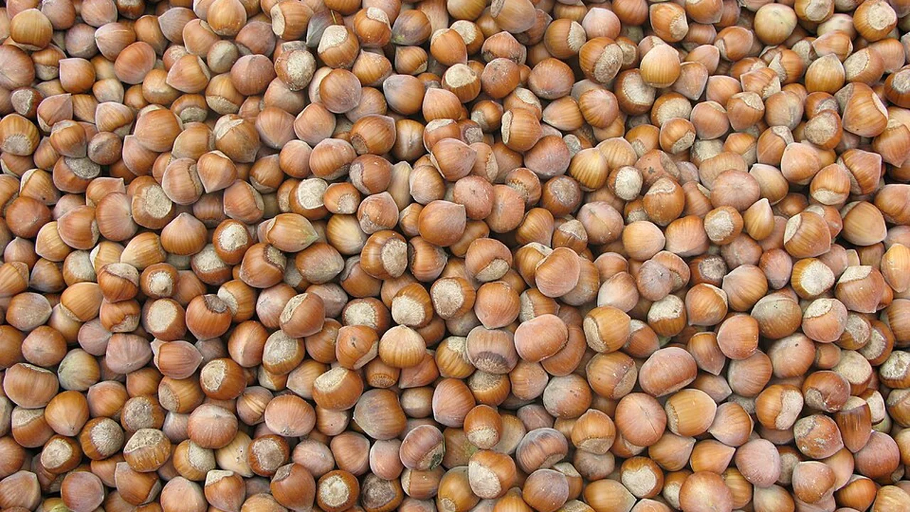 Gübre planlaması