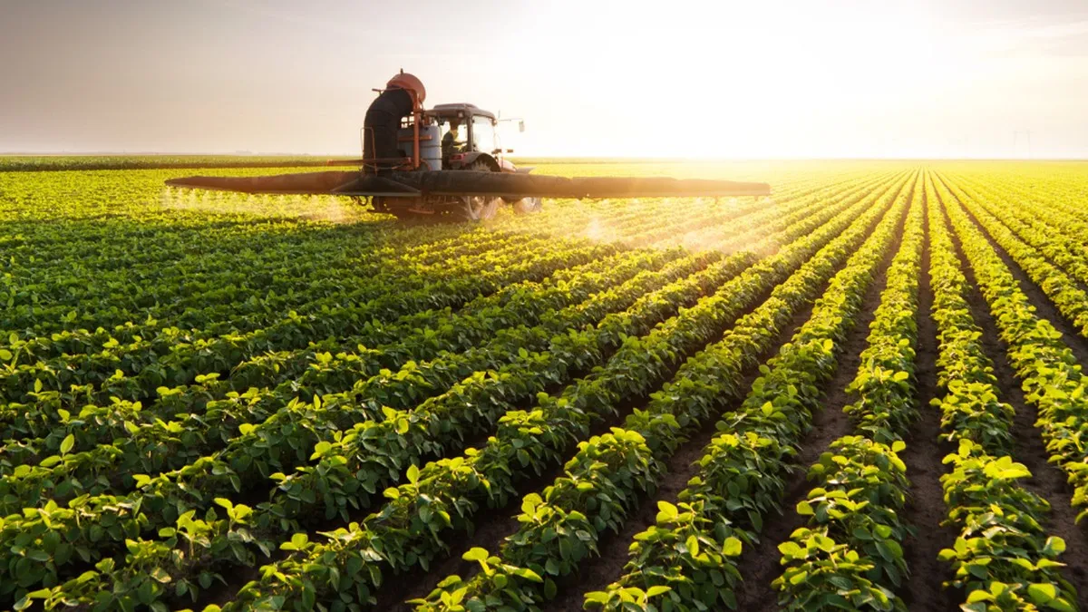 Sera mı Kuracaksınız, Depo mu? 129 Milyon TL'lik Hibe Desteği Dağıtılıyor