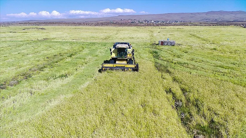 ÇKS Kayıt Yenileme Başvurusu: e-Devlet'ten Nasıl Yapılır? (2026)