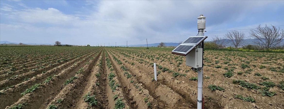 Tarlaya Sensör, Gökyüzüne Dron: Yapay Zeka Artık Patates Tarlasında
